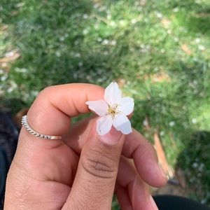 Meet your Posher, Rebeca